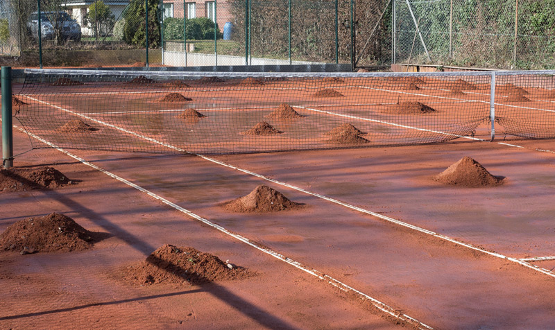 TGB - Frühjahrsüberholung 2026